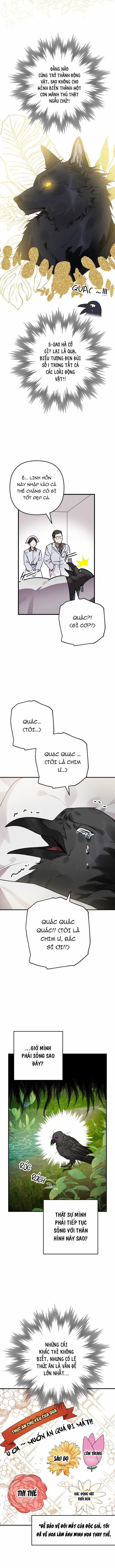 Bỗng Nhiên Tôi Trở Thành Quạ Đen!! 1 trang 6