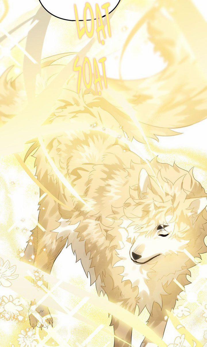 Bỗng Nhiên Tôi Trở Thành Quạ Đen!! 13 trang 6