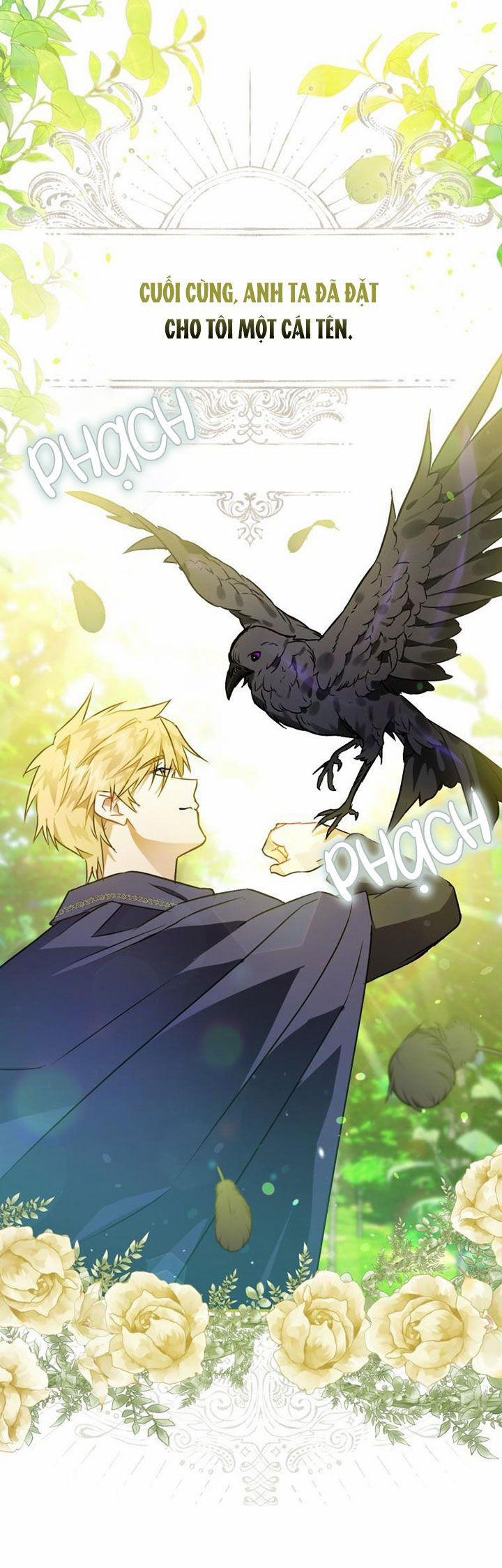 Bỗng Nhiên Tôi Trở Thành Quạ Đen!! 3 trang 5