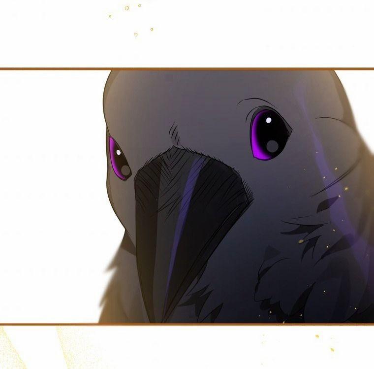 Bỗng Nhiên Tôi Trở Thành Quạ Đen!! 6 trang 26