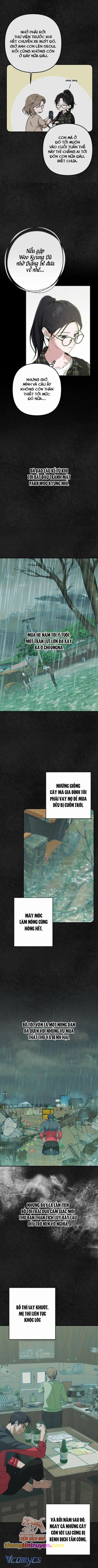 Bóng Râm Mùa Xuân 8 trang 1