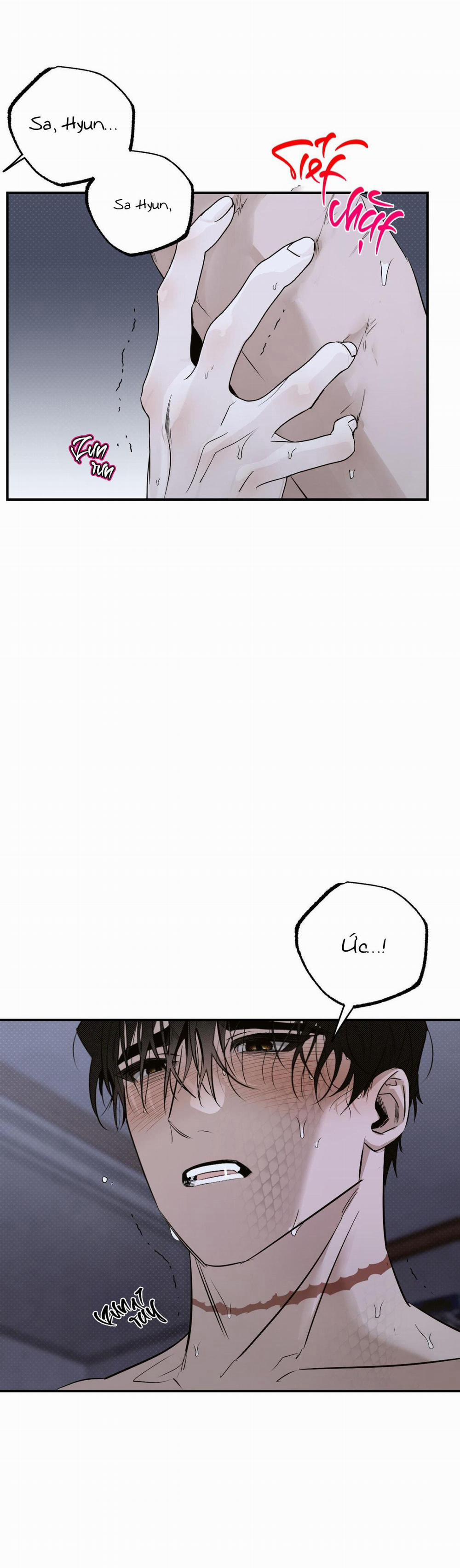 Bóng Rắn Dưới Ánh Trăng 14 trang 27