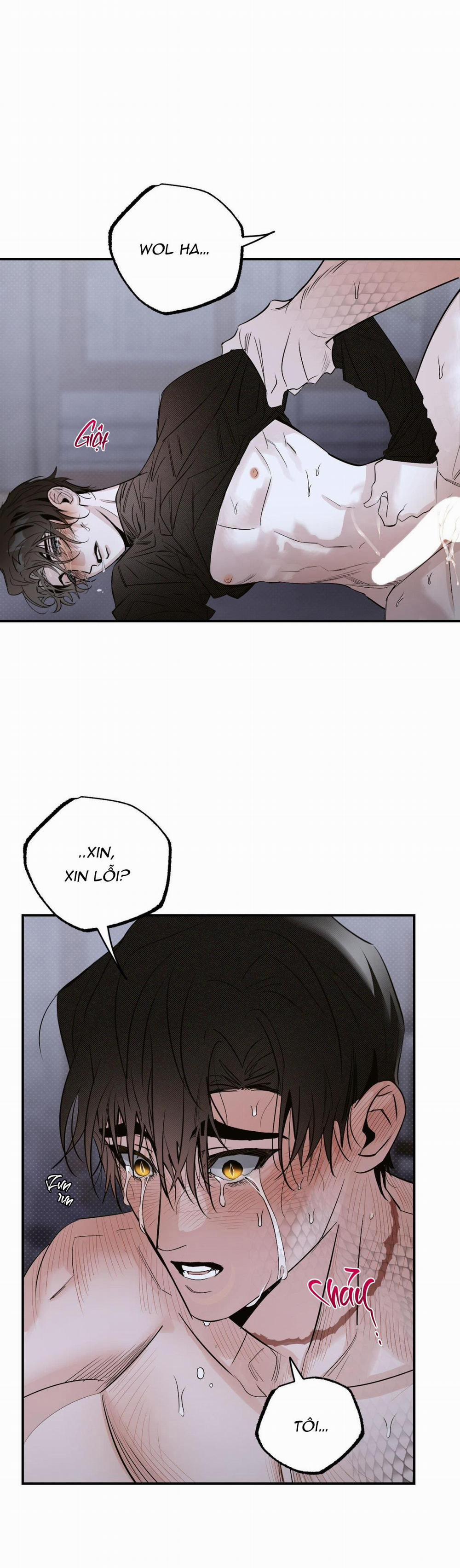 Bóng Rắn Dưới Ánh Trăng 14 trang 30