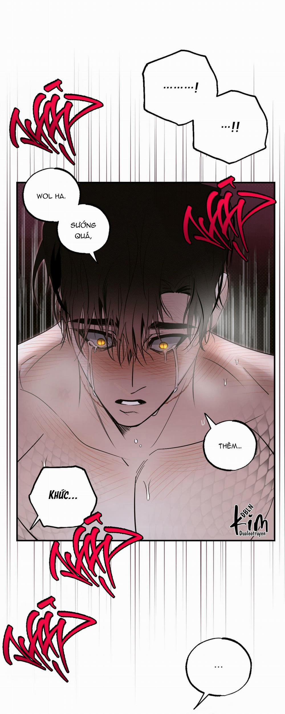 Bóng Rắn Dưới Ánh Trăng 14 trang 36