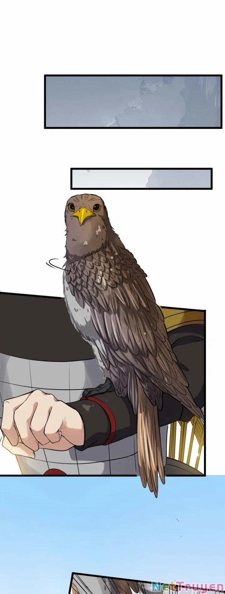 Bồng Sơn Viễn 2 47 trang 10