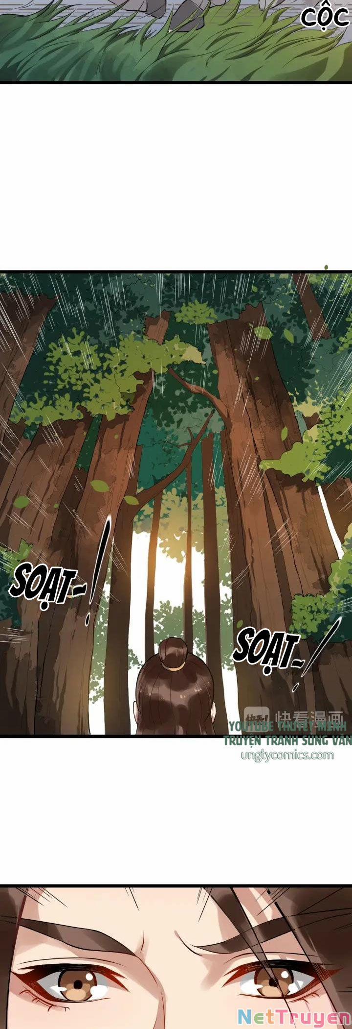 Bồng Sơn Viễn 2 48 trang 29