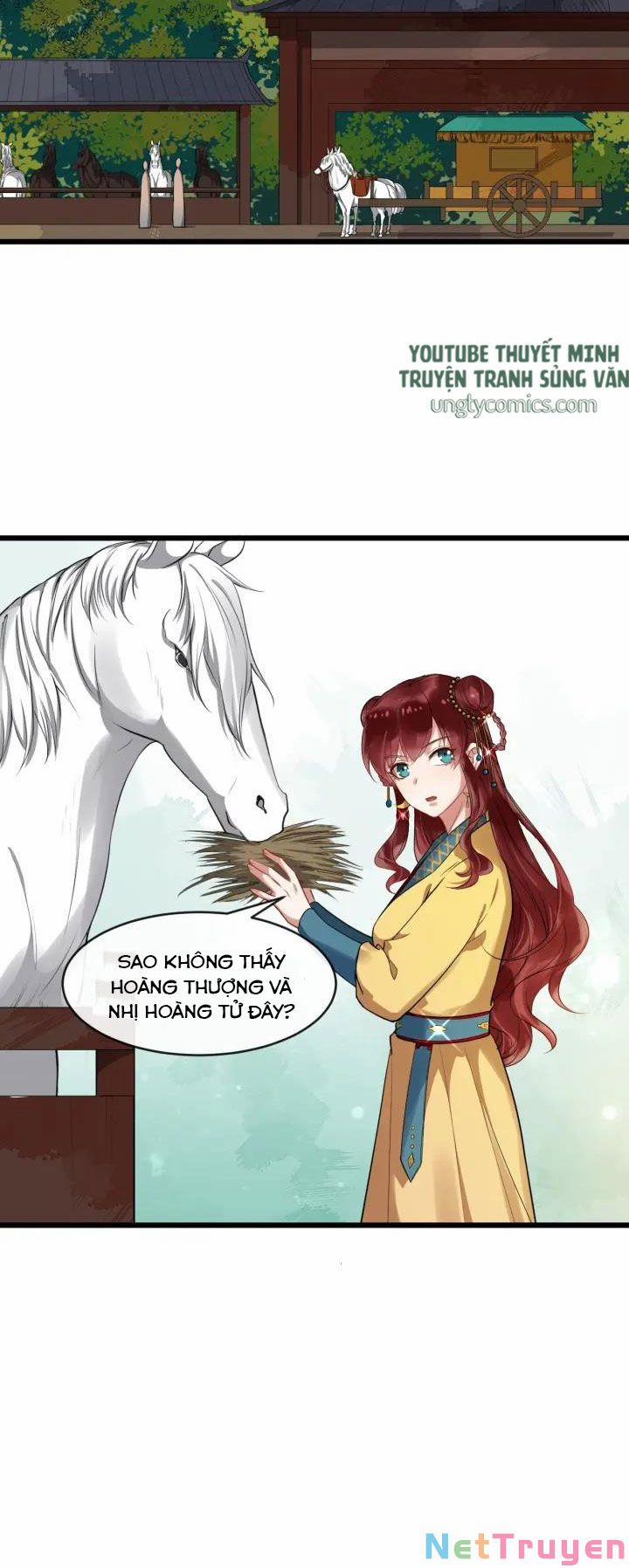 Bồng Sơn Viễn 2 48 trang 3