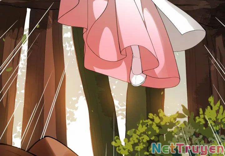 Bồng Sơn Viễn 2 48 trang 31