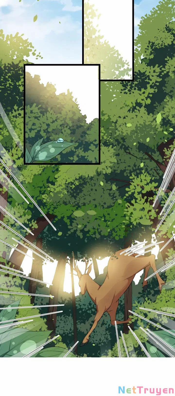 Bồng Sơn Viễn 2 49 trang 28