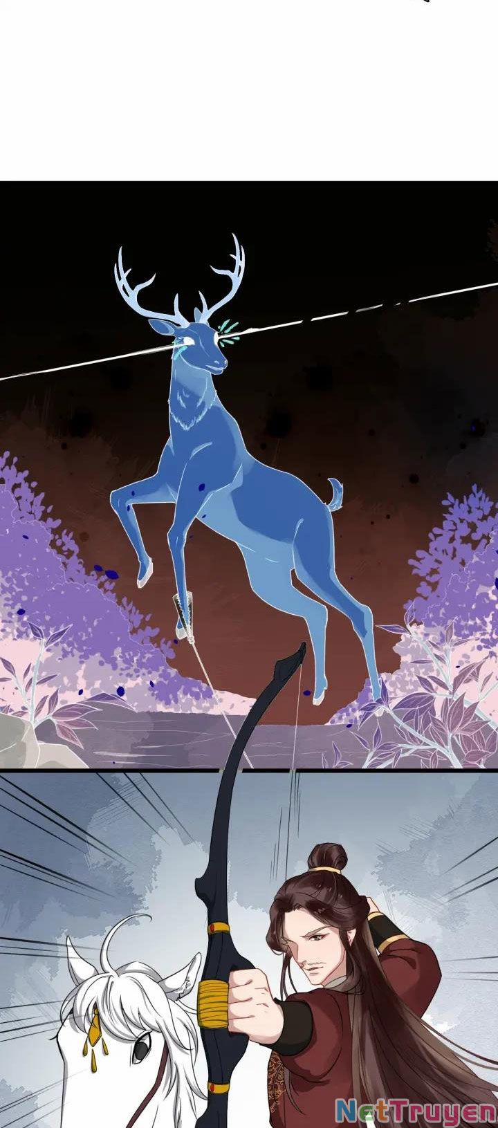 Bồng Sơn Viễn 2 49 trang 31