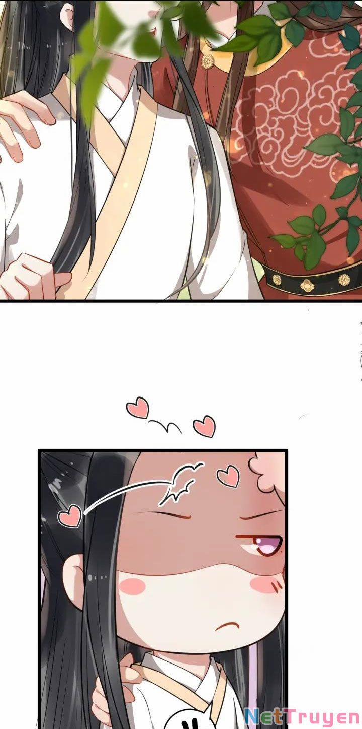 Bồng Sơn Viễn 2 49 trang 8