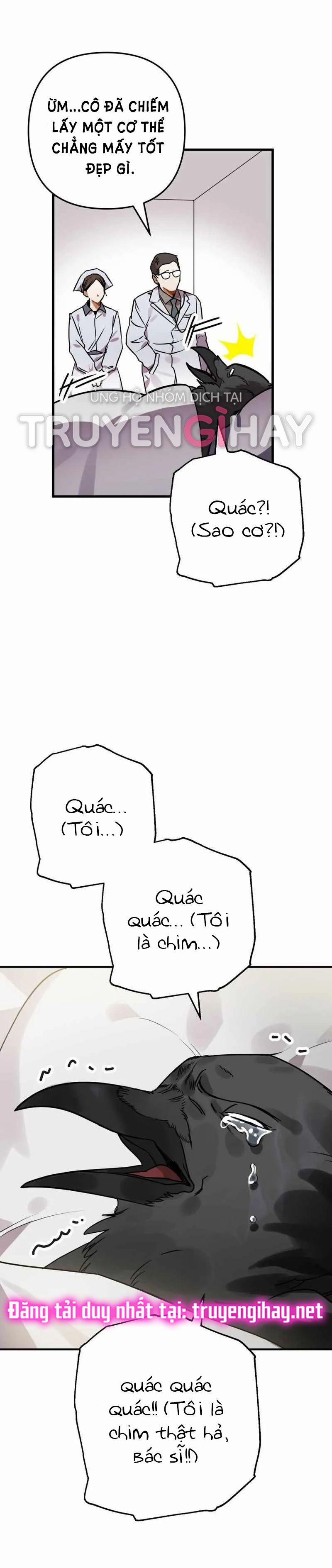 Bỗng Tôi Biến Thành Quạ Đen 1 trang 22