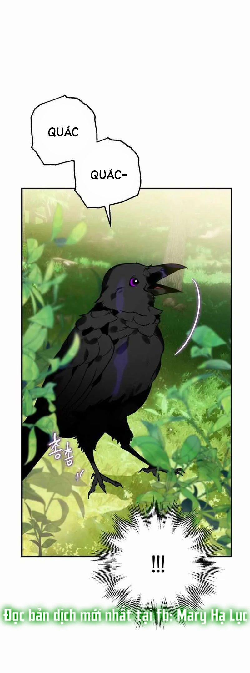 Bỗng Tôi Biến Thành Quạ Đen 2 trang 11