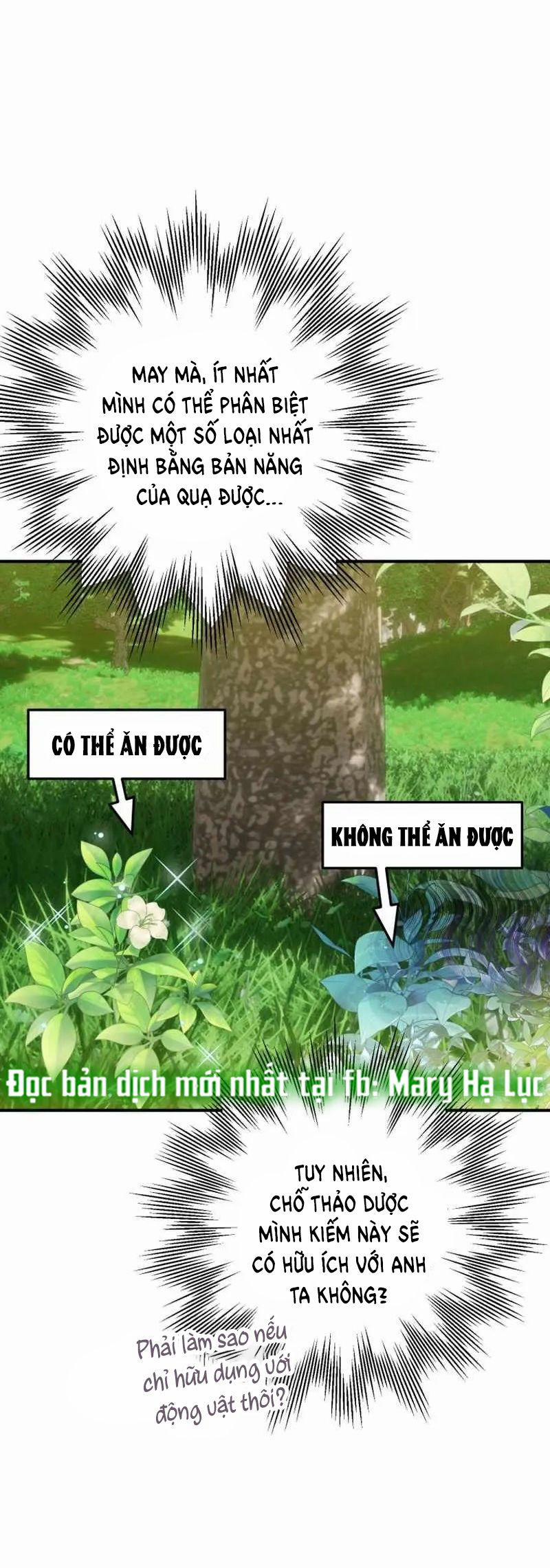 Bỗng Tôi Biến Thành Quạ Đen 2 trang 31