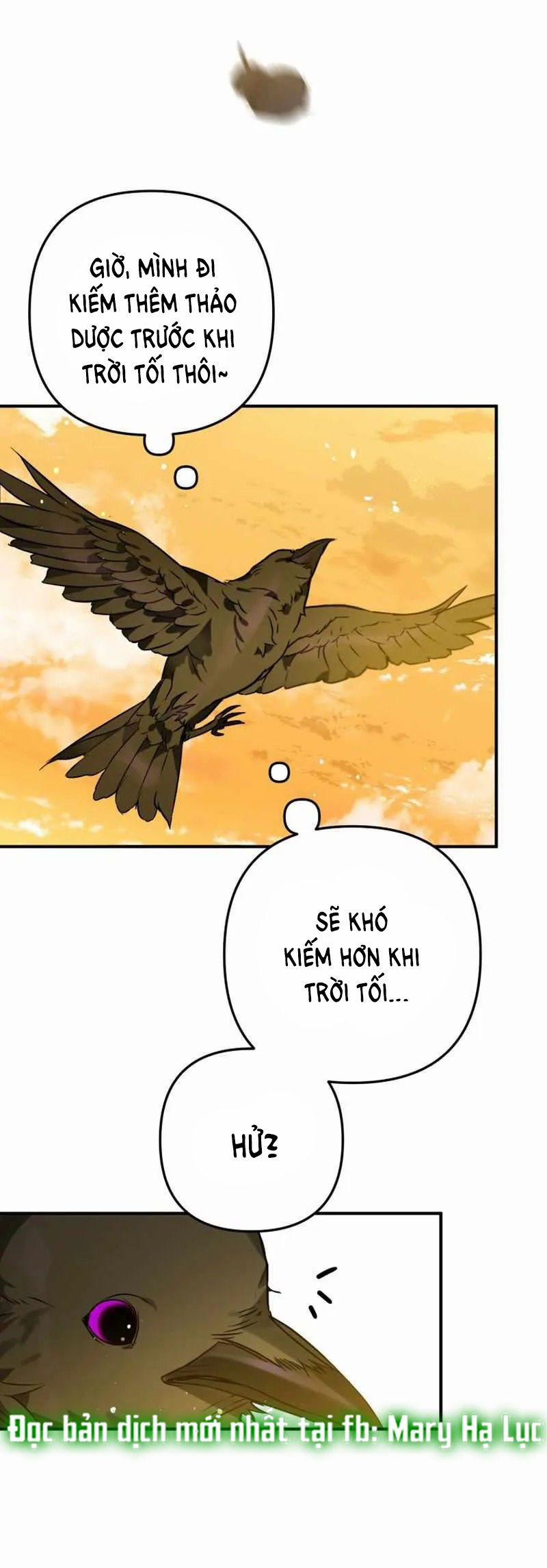 Bỗng Tôi Biến Thành Quạ Đen 3 trang 24