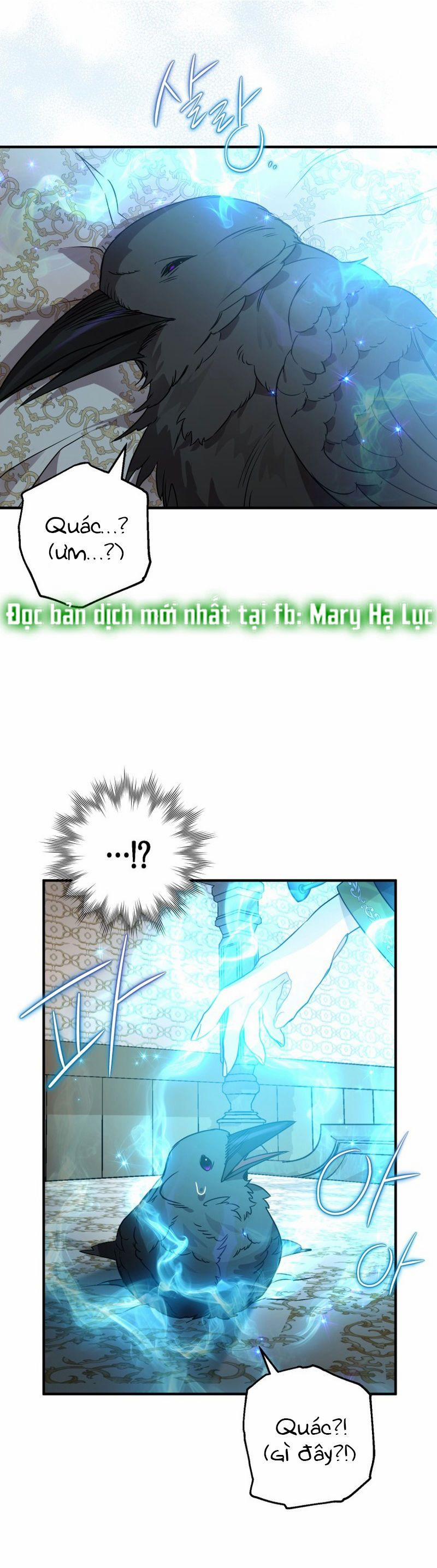 Bỗng Tôi Biến Thành Quạ Đen 4 trang 24