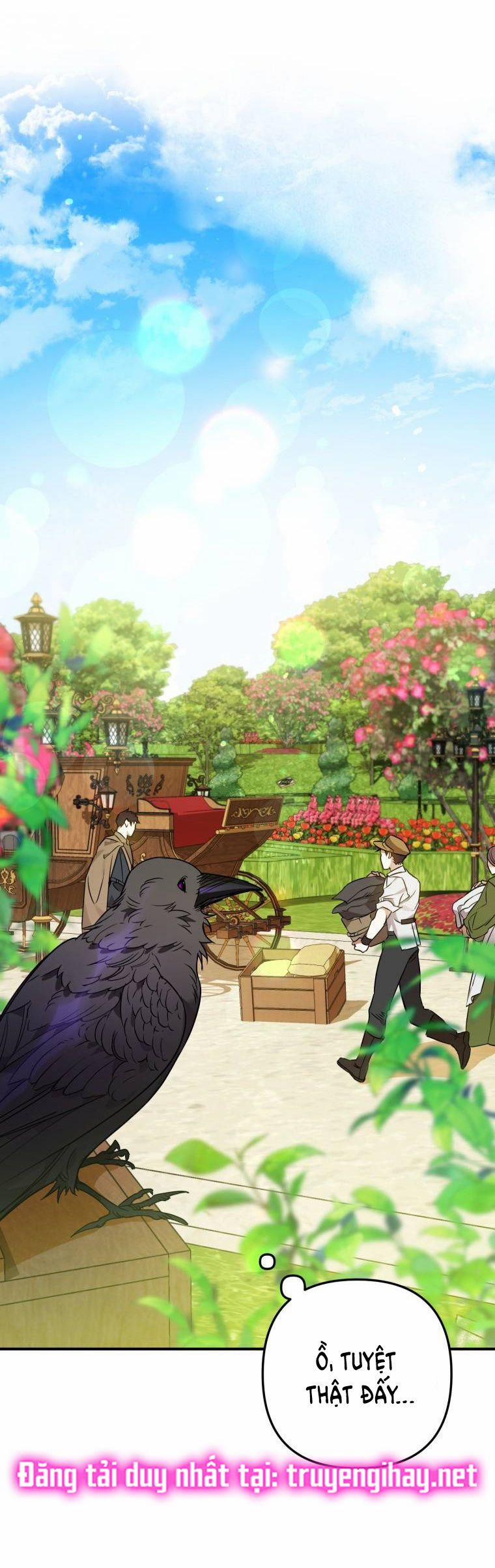 Bỗng Tôi Biến Thành Quạ Đen 5 trang 43