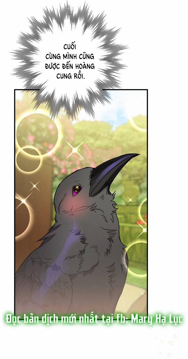 Bỗng Tôi Biến Thành Quạ Đen 5 trang 44