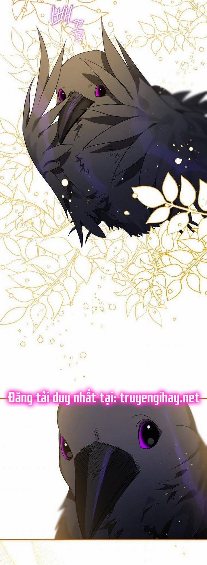 Bỗng Tôi Biến Thành Quạ Đen 6 trang 29