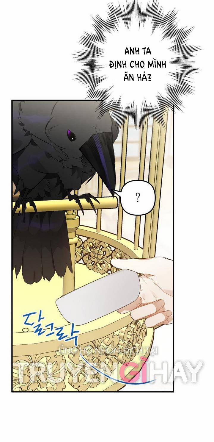 Bỗng Tôi Biến Thành Quạ Đen 6 trang 49