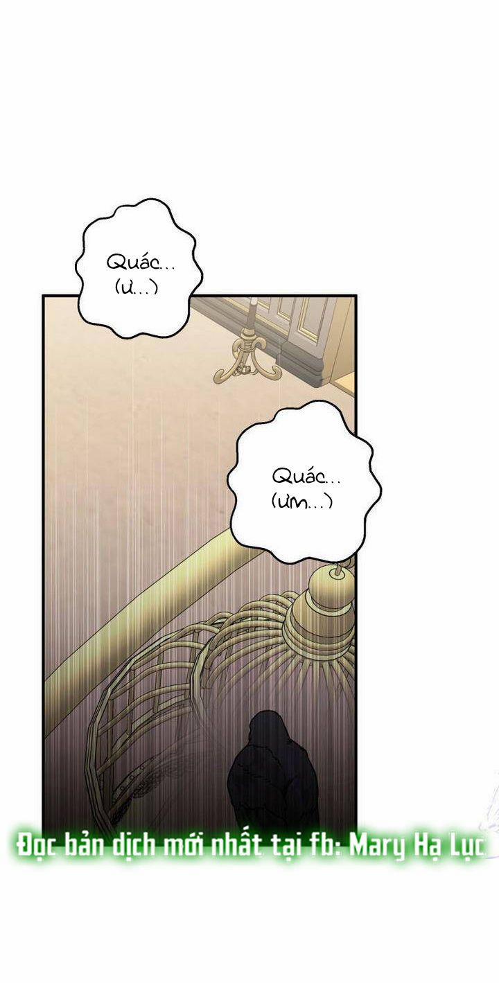Bỗng Tôi Biến Thành Quạ Đen 7 trang 33