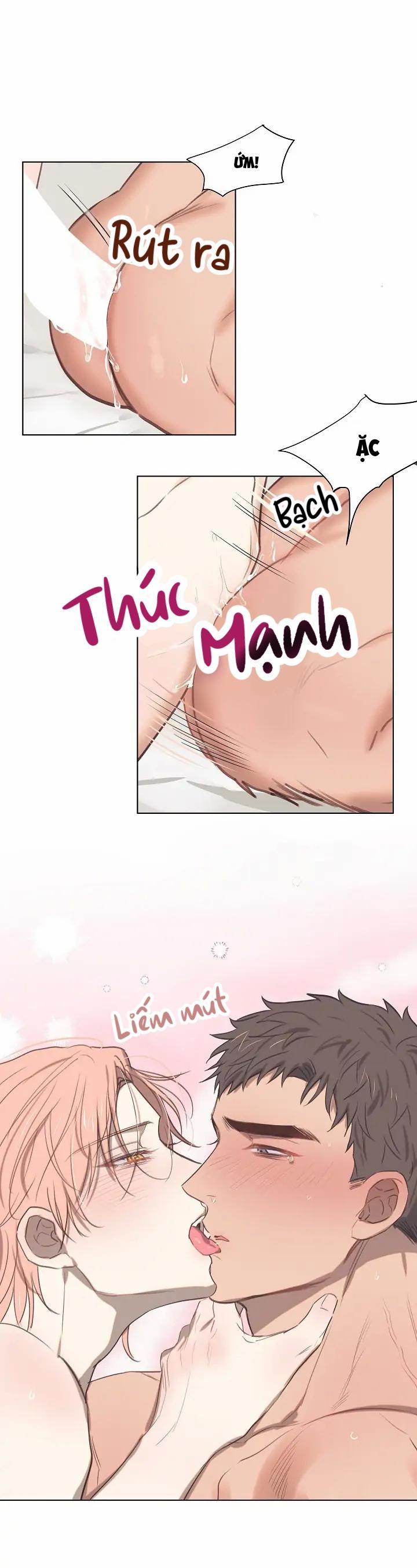 Boom tình yêu 3 trang 15