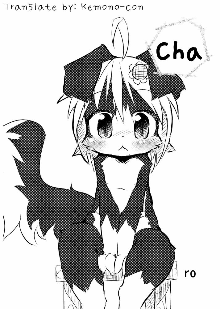 Border Collie Little Girl Complementary Plan Volume 1 trang 2