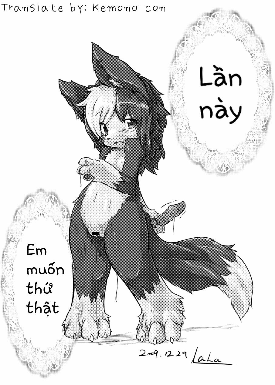 Border Collie Little Girl Complementary Plan Volume 2 trang 2