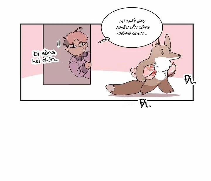 Boss Bitch Baby 71 trang 7