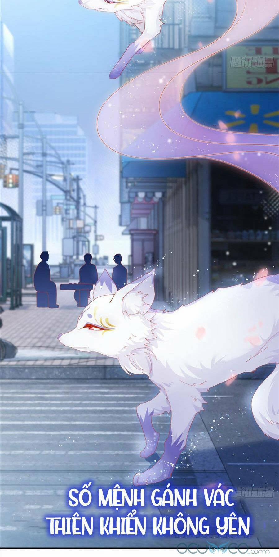 Boss Sát Thủ Dưỡng Hồ Yêu 0 trang 10