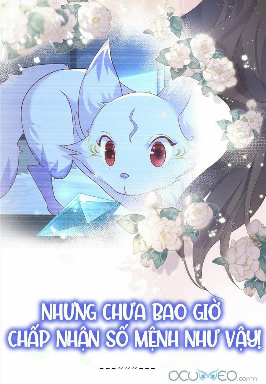 Boss Sát Thủ Dưỡng Hồ Yêu 0 trang 12