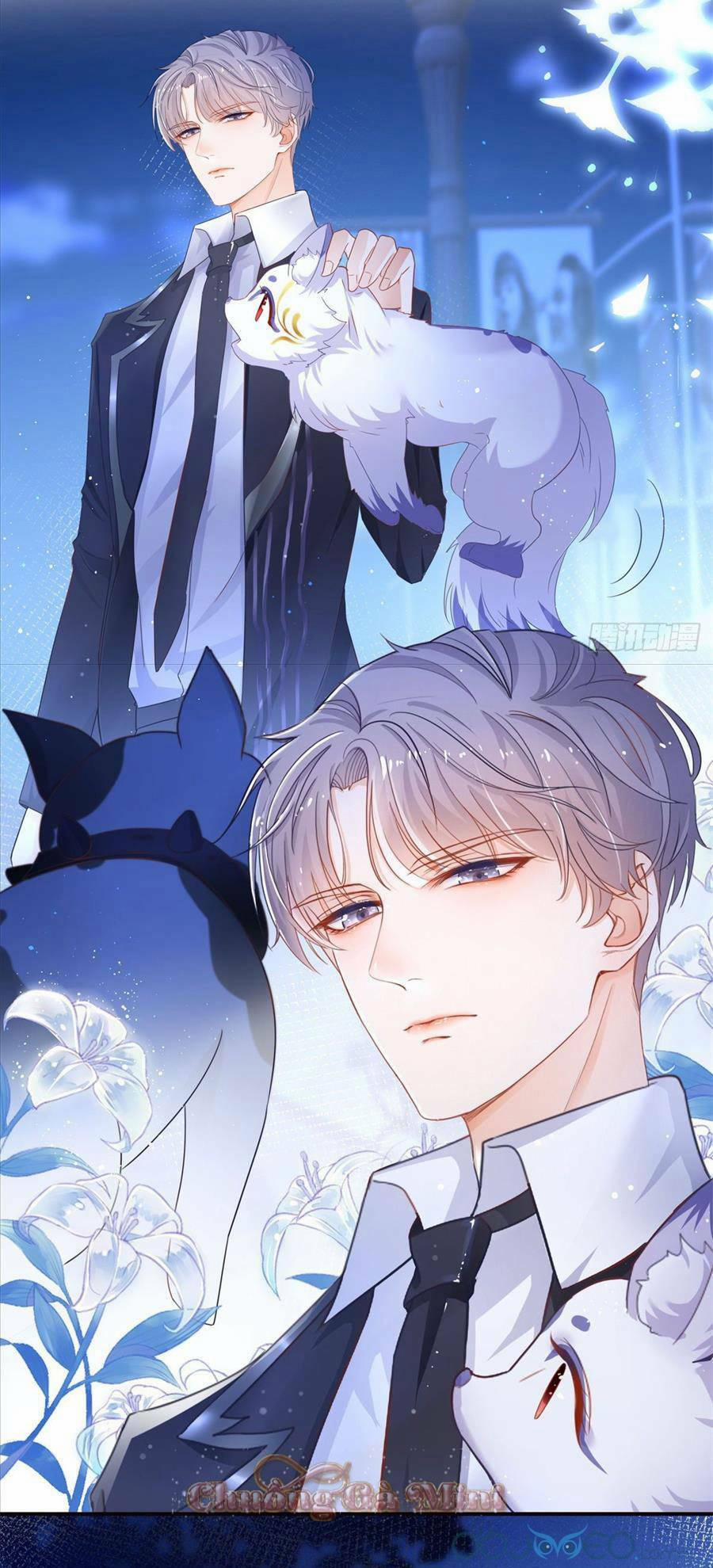 Boss Sát Thủ Dưỡng Hồ Yêu 0 trang 15