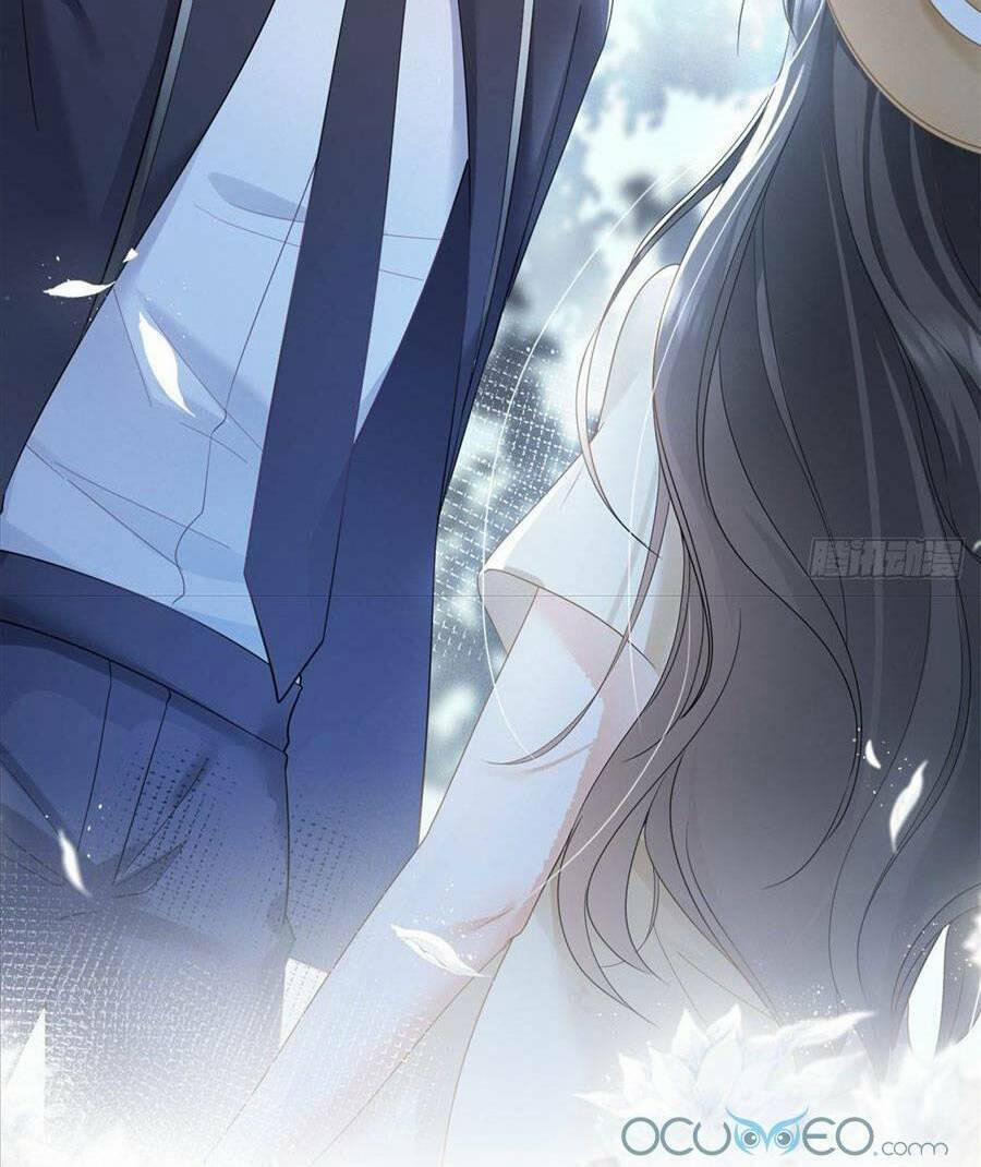 Boss Sát Thủ Dưỡng Hồ Yêu 0 trang 17