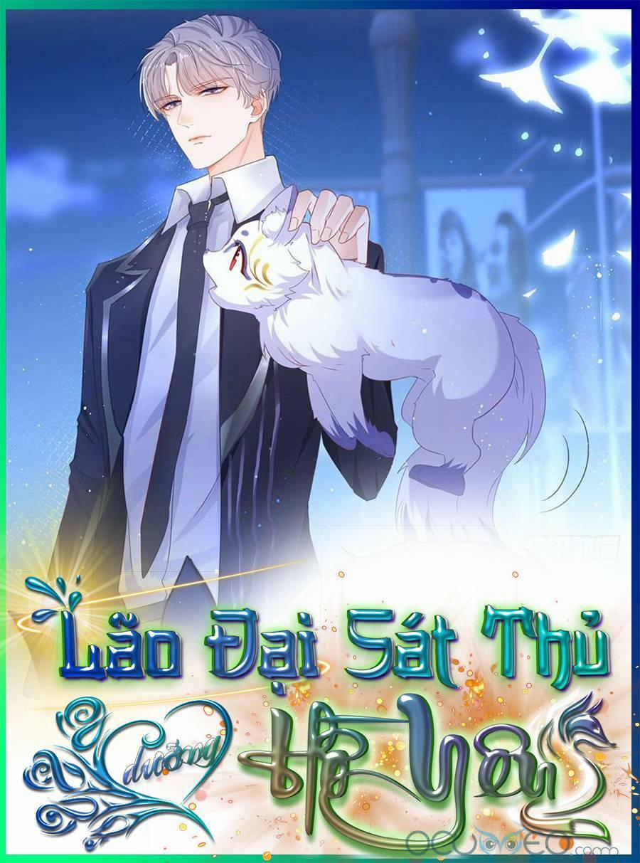 Boss Sát Thủ Dưỡng Hồ Yêu 0 trang 25