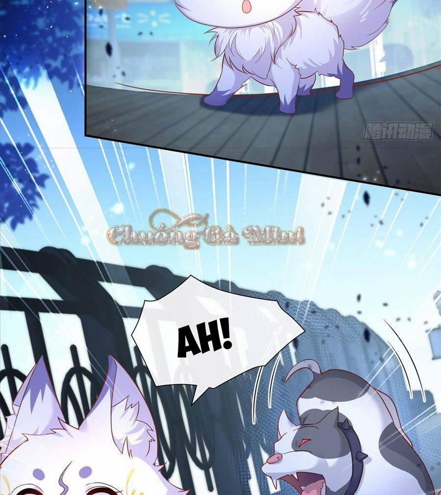 Boss Sát Thủ Dưỡng Hồ Yêu 0 trang 3