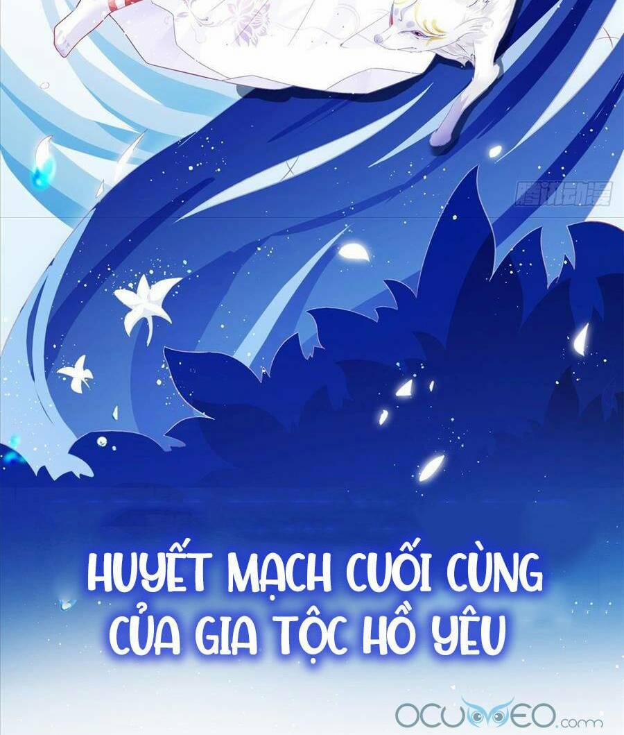 Boss Sát Thủ Dưỡng Hồ Yêu 0 trang 8