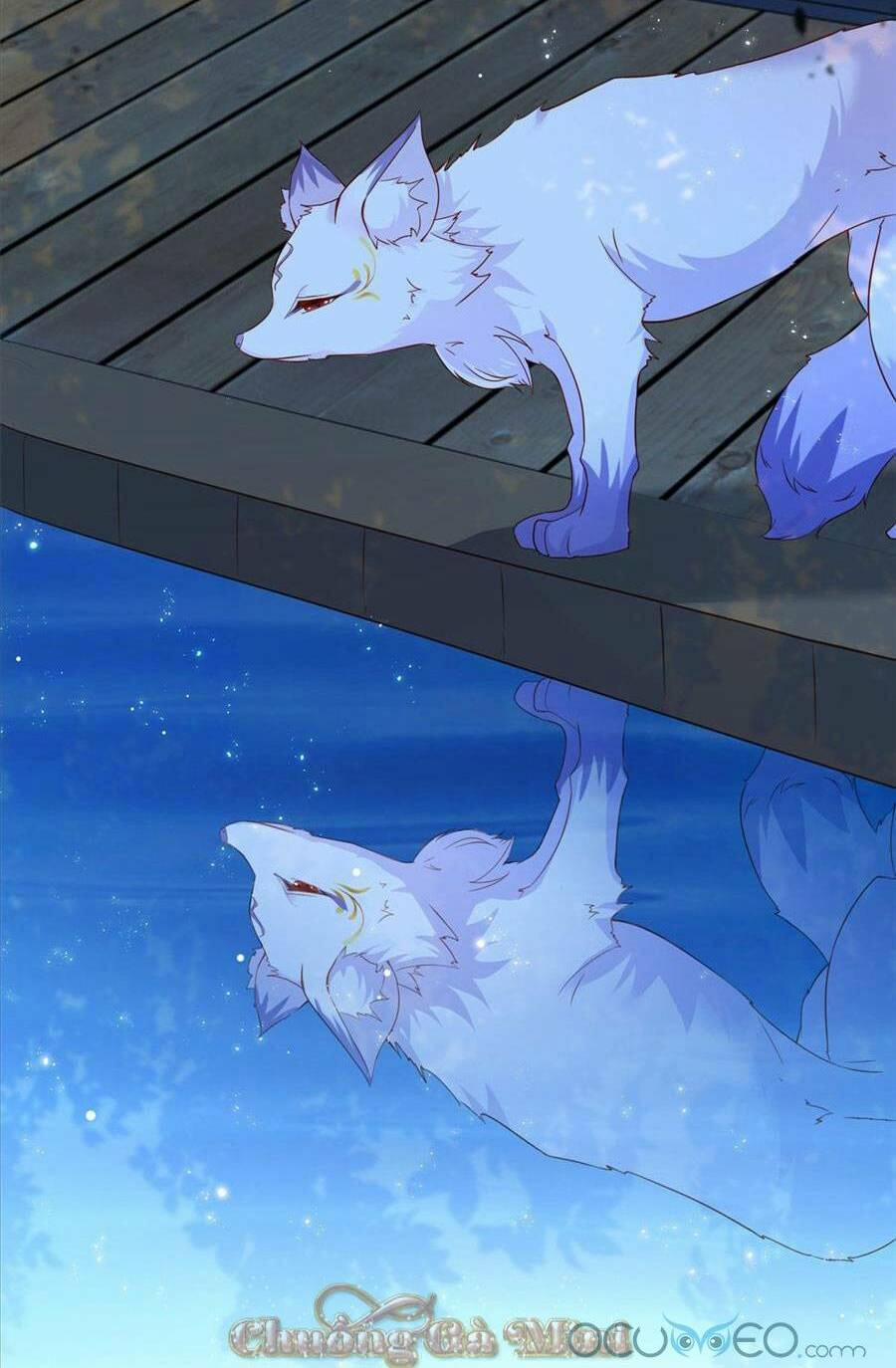 Boss Sát Thủ Dưỡng Hồ Yêu 1 trang 19