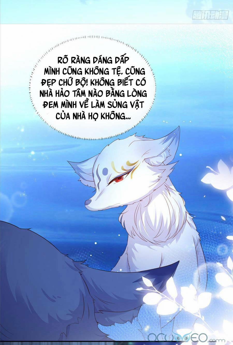 Boss Sát Thủ Dưỡng Hồ Yêu 1 trang 20