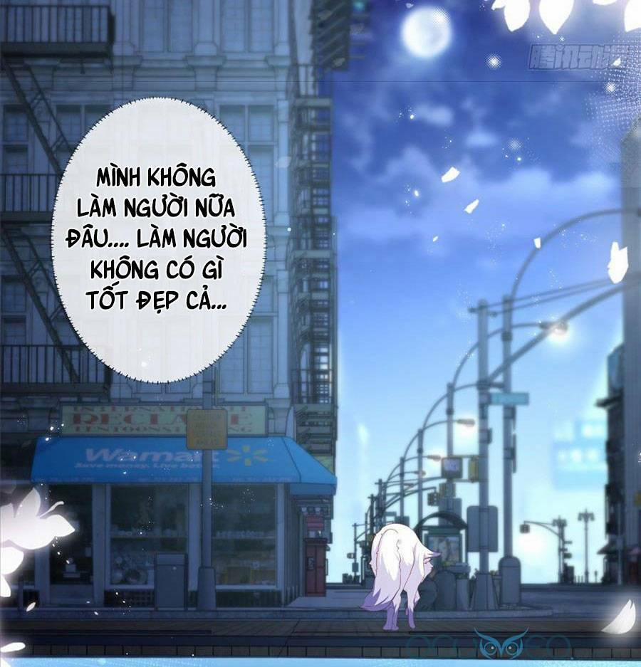 Boss Sát Thủ Dưỡng Hồ Yêu 1 trang 21