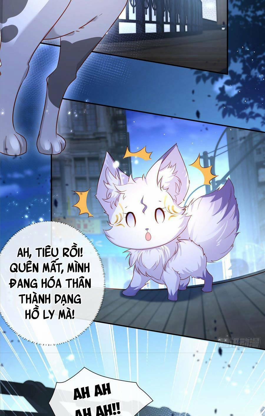 Boss Sát Thủ Dưỡng Hồ Yêu 1 trang 24