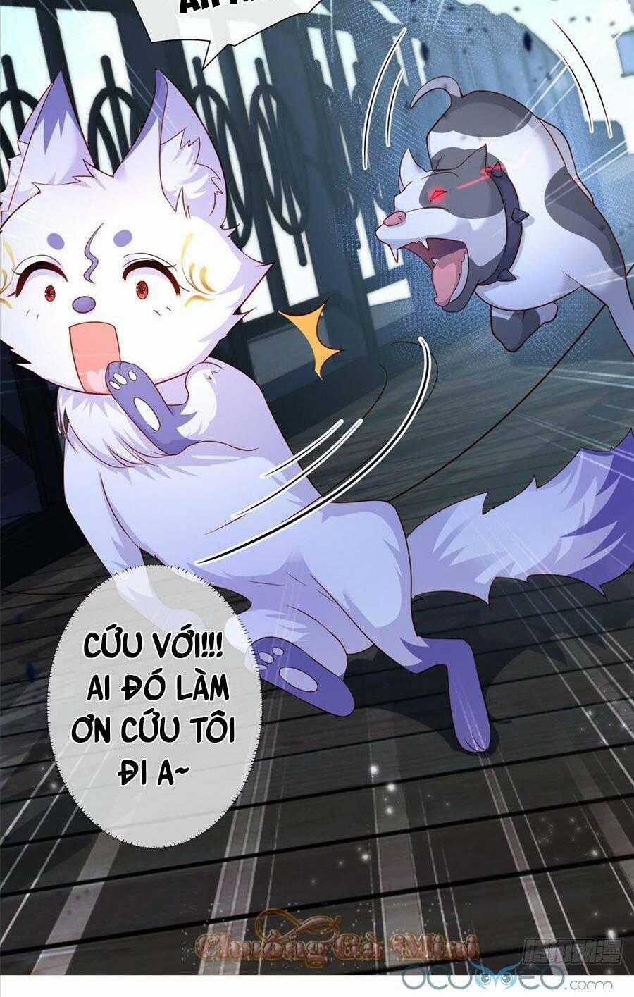 Boss Sát Thủ Dưỡng Hồ Yêu 1 trang 25