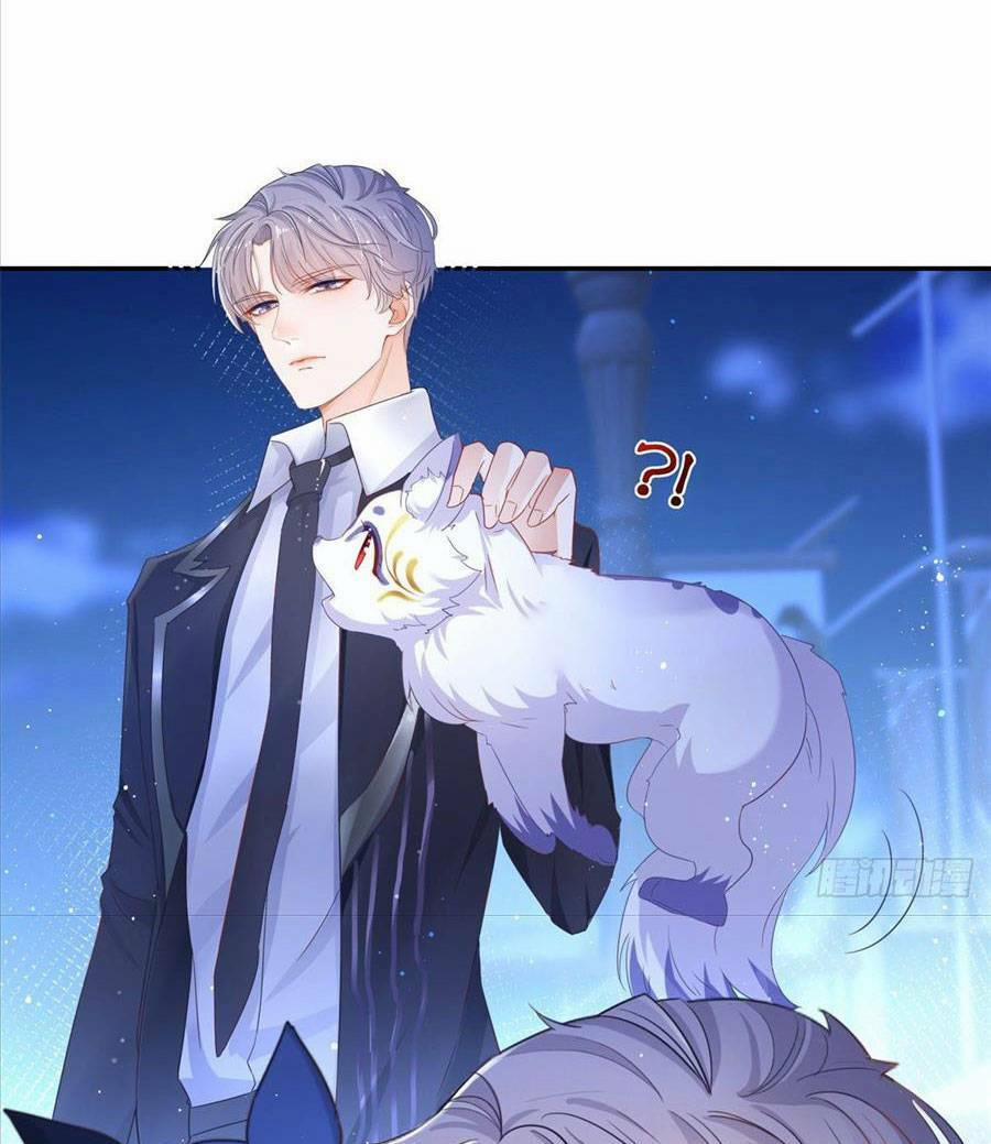 Boss Sát Thủ Dưỡng Hồ Yêu 1 trang 27