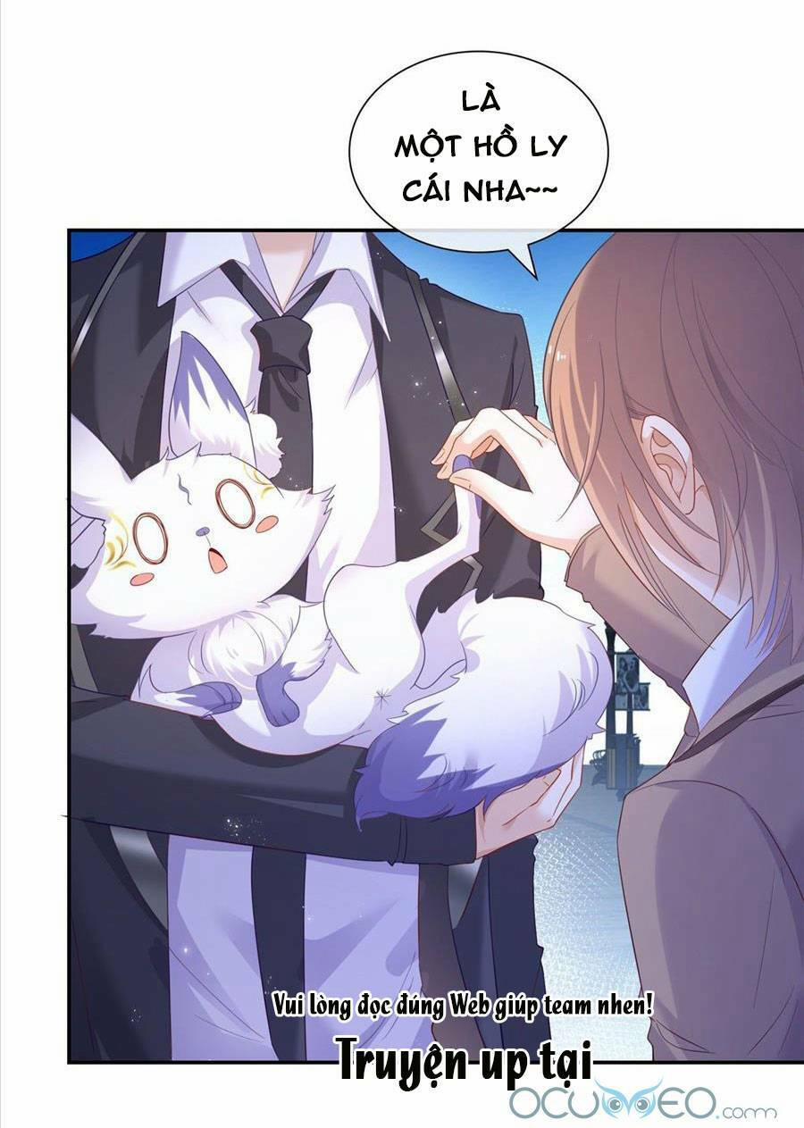 Boss Sát Thủ Dưỡng Hồ Yêu 1 trang 31