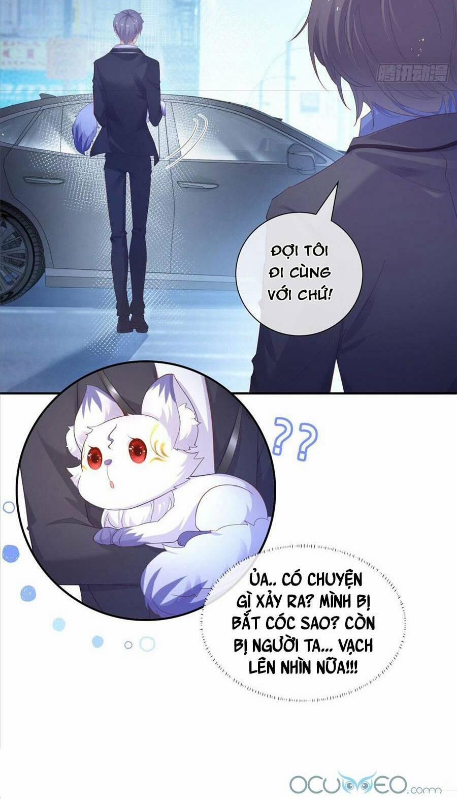 Boss Sát Thủ Dưỡng Hồ Yêu 1 trang 35