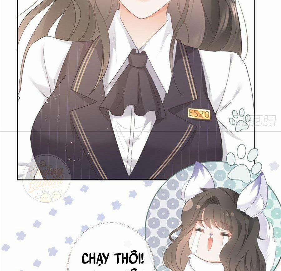 Boss Sát Thủ Dưỡng Hồ Yêu 10 trang 30