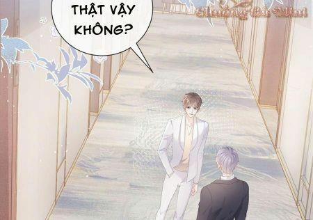 Boss Sát Thủ Dưỡng Hồ Yêu 10 trang 38