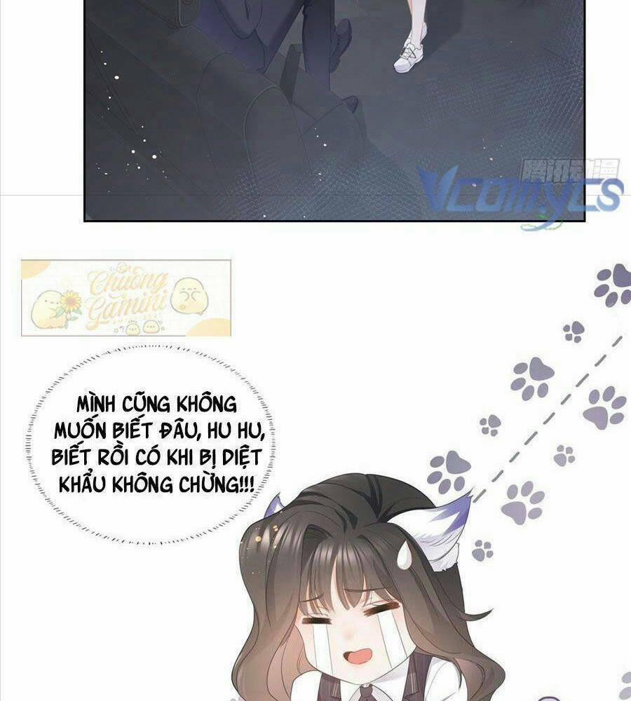 Boss Sát Thủ Dưỡng Hồ Yêu 11 trang 18