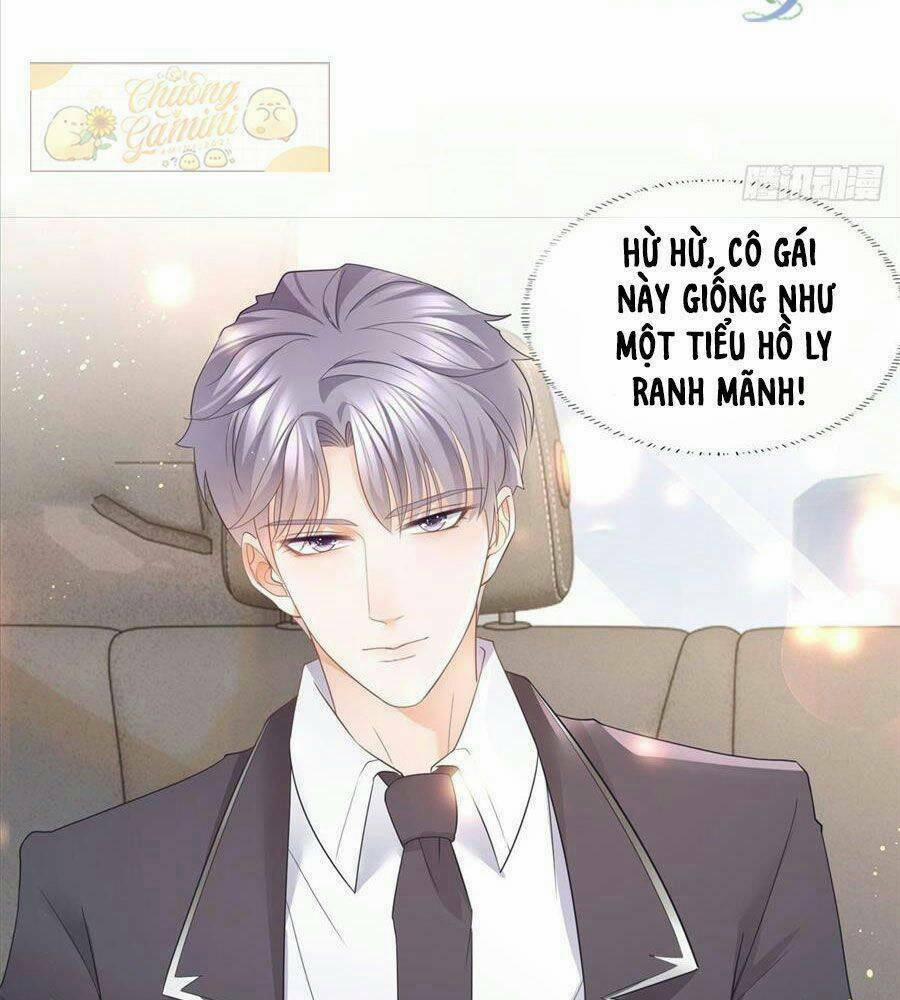 Boss Sát Thủ Dưỡng Hồ Yêu 11 trang 20