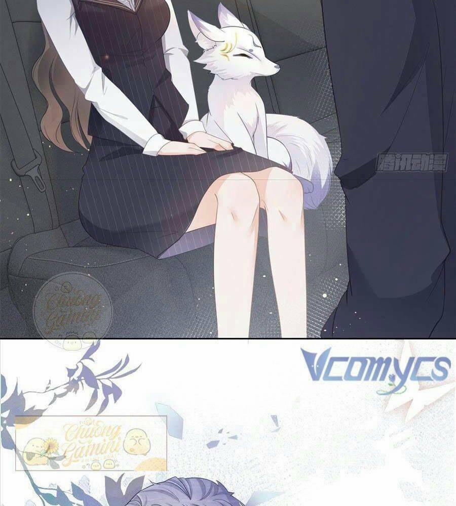 Boss Sát Thủ Dưỡng Hồ Yêu 11 trang 24