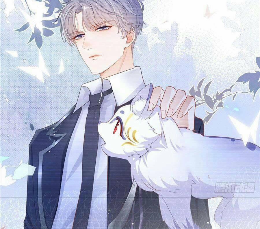 Boss Sát Thủ Dưỡng Hồ Yêu 11 trang 25